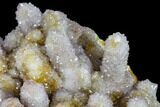 Cactus Quartz (Amethyst) Cluster - South Africa #113407-2